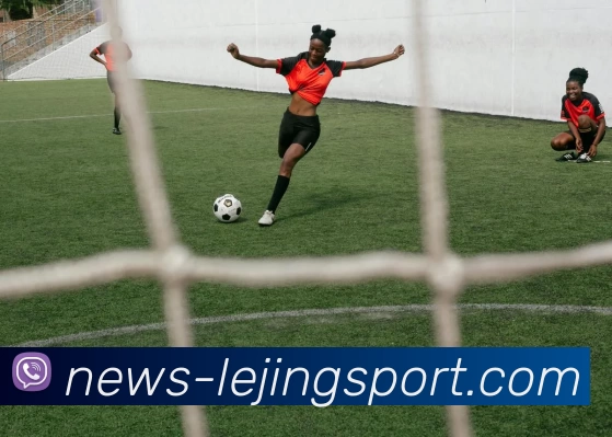 乐竞体育平台生态图